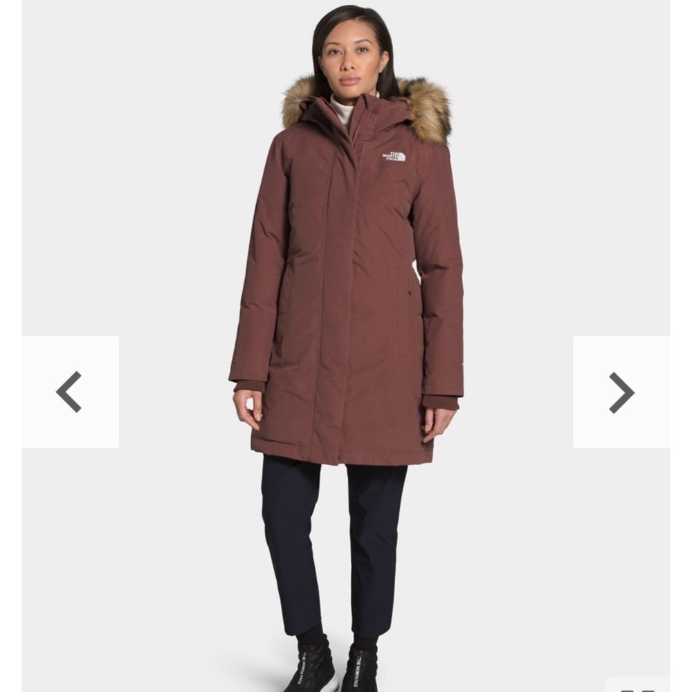 North Face Arctic Parka in Brown